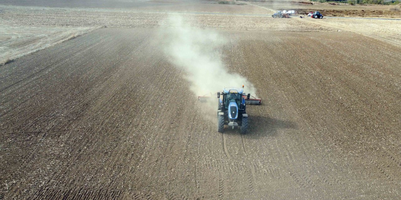 Trakya'da Kuru Toprağa Ekilen Buğdaya Son Yağışlar Hayat Verdi