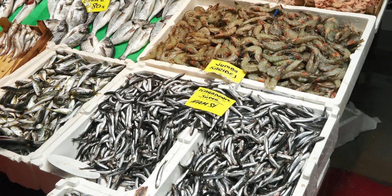 Prof. Dr. Saadet Karakulak: Ya Elek Sistemi Yasaklanacak Ya Balıkçılık Durdurulacak