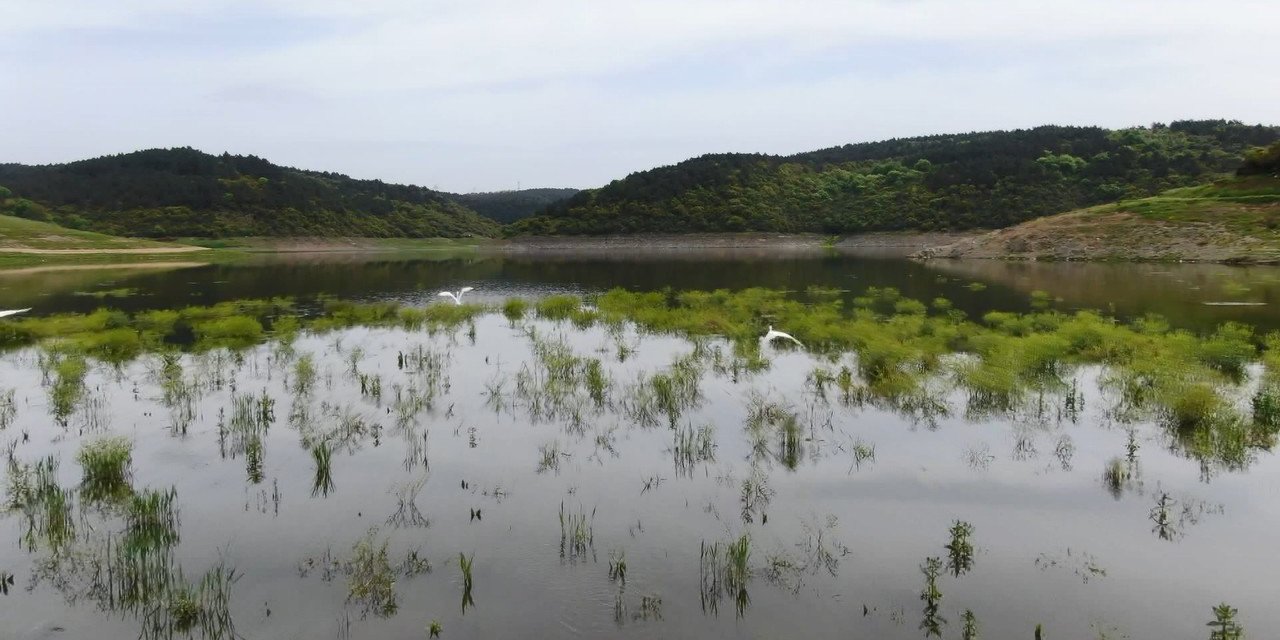 İstanbul'da Barajlardaki Doluluk Oranı Yükselişe Geçti