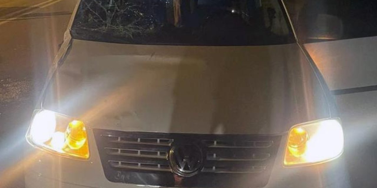 Hafif Ticari Araç 2 Büyükbaş Hayvana Çarptı: 4 Yaralı