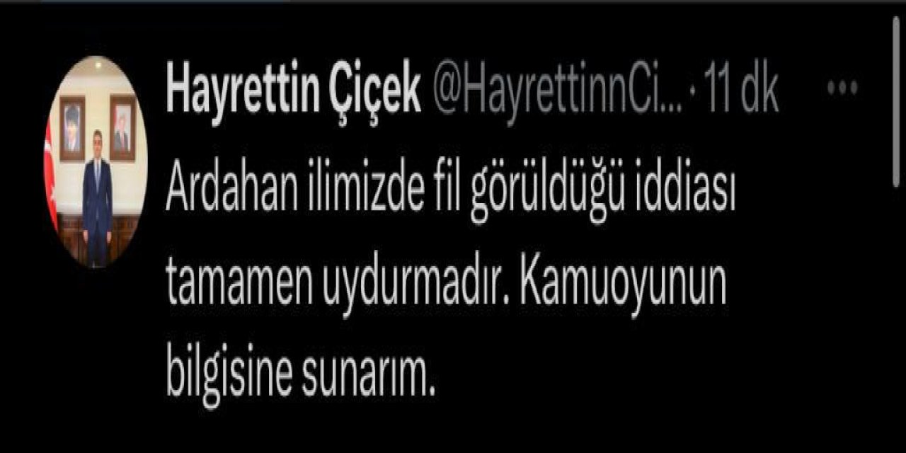 Ardahan’da Fil Alarmı: Jandarma Arazide Fil Arıyor (2)