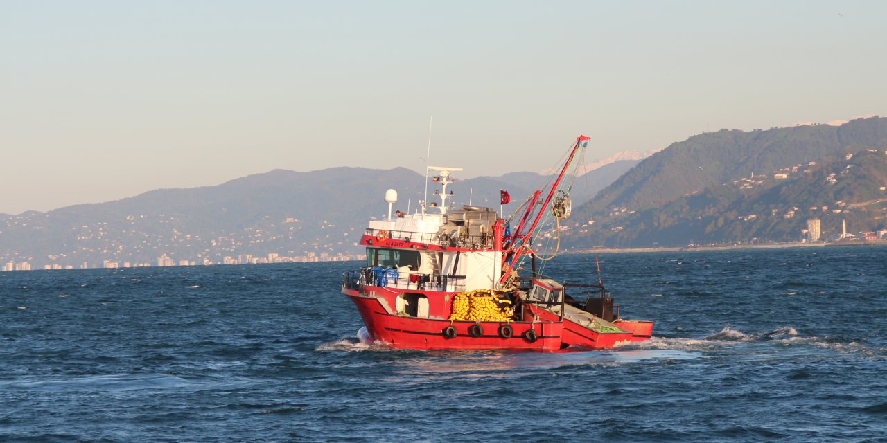 Hamside 'Aşırı Avcılık' İle Yok Olma Tehlikesi