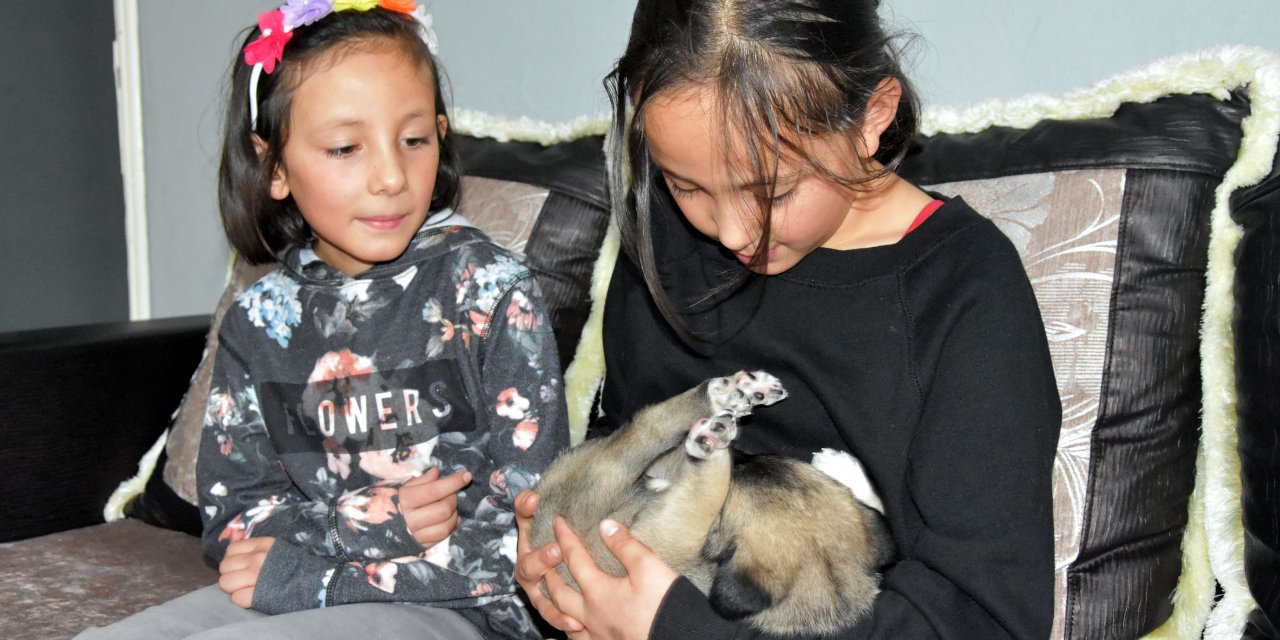 2 Haftalık Köpeğe 9 Yaşındaki İkizler Sahip Çıktı