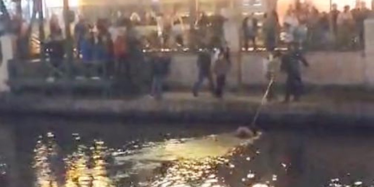 Eskişehir'de Porsuk Çayı’na Düşen Kadın, Can Simidiyle Kurtarıldı