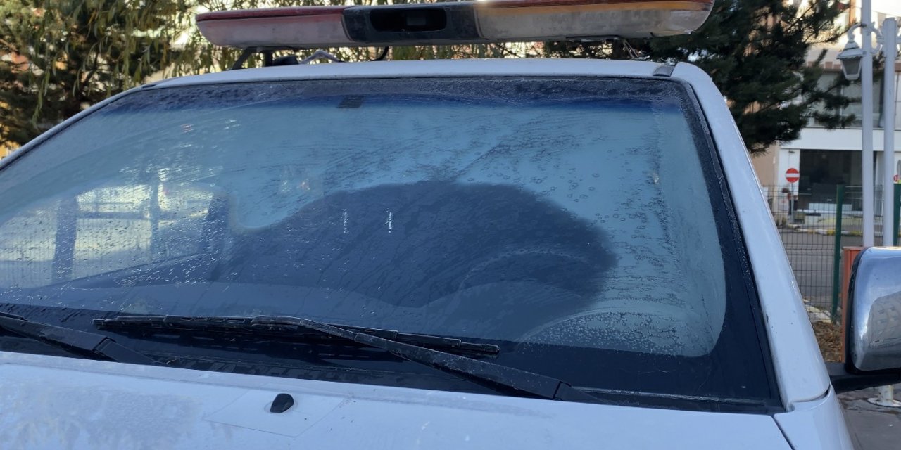 Ardahan'da Soğuk Hava; Camlar Dondu, Bitkiler Kırağı Tuttu
