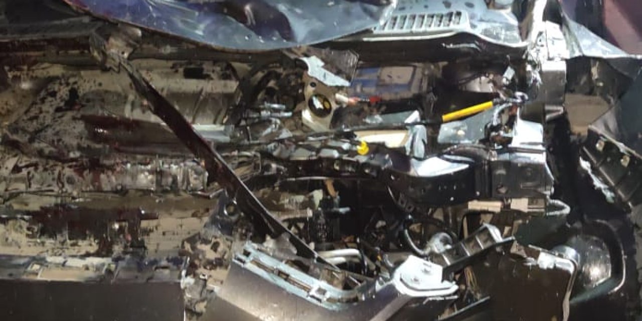 Otomobil, Sürüye Çarptı; Eşek Öldü, Sürücü Yaralı