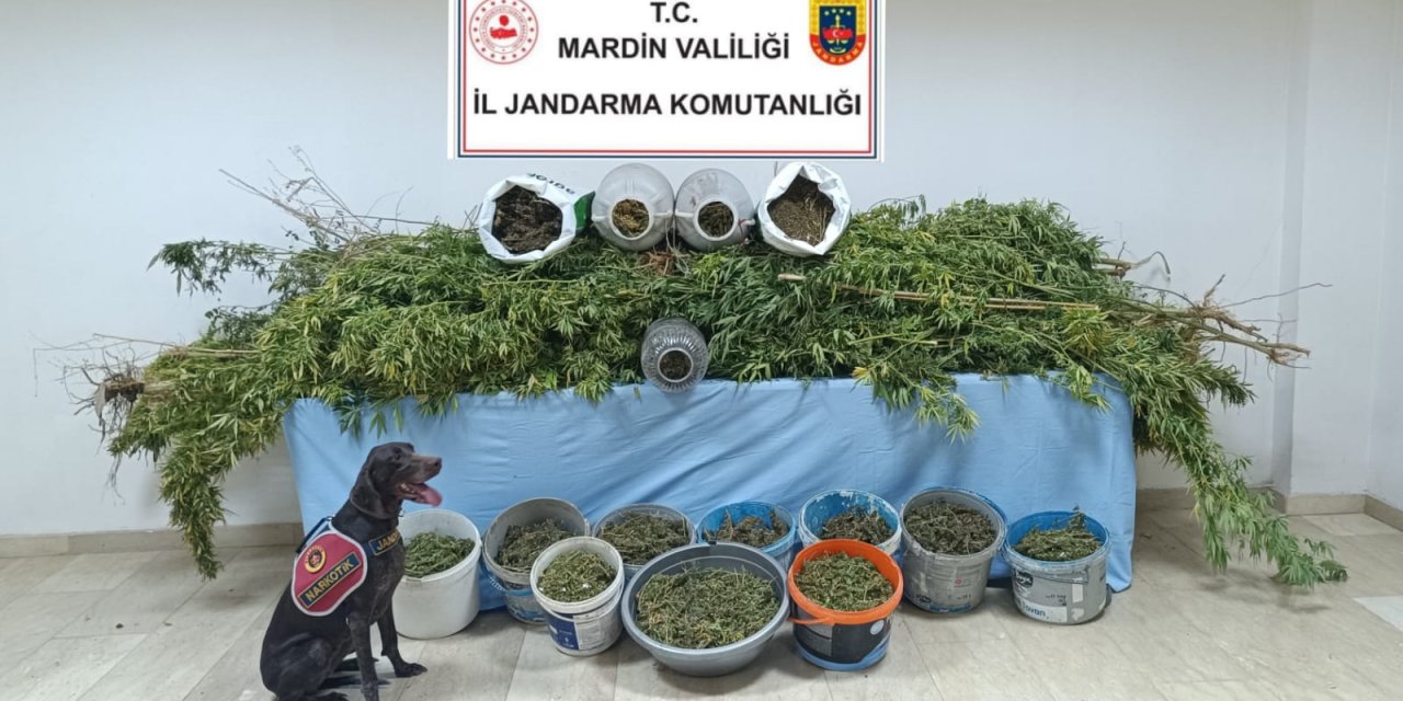 Mardin'de 'Narko Güç' Operasyonunda 7 Tutuklama