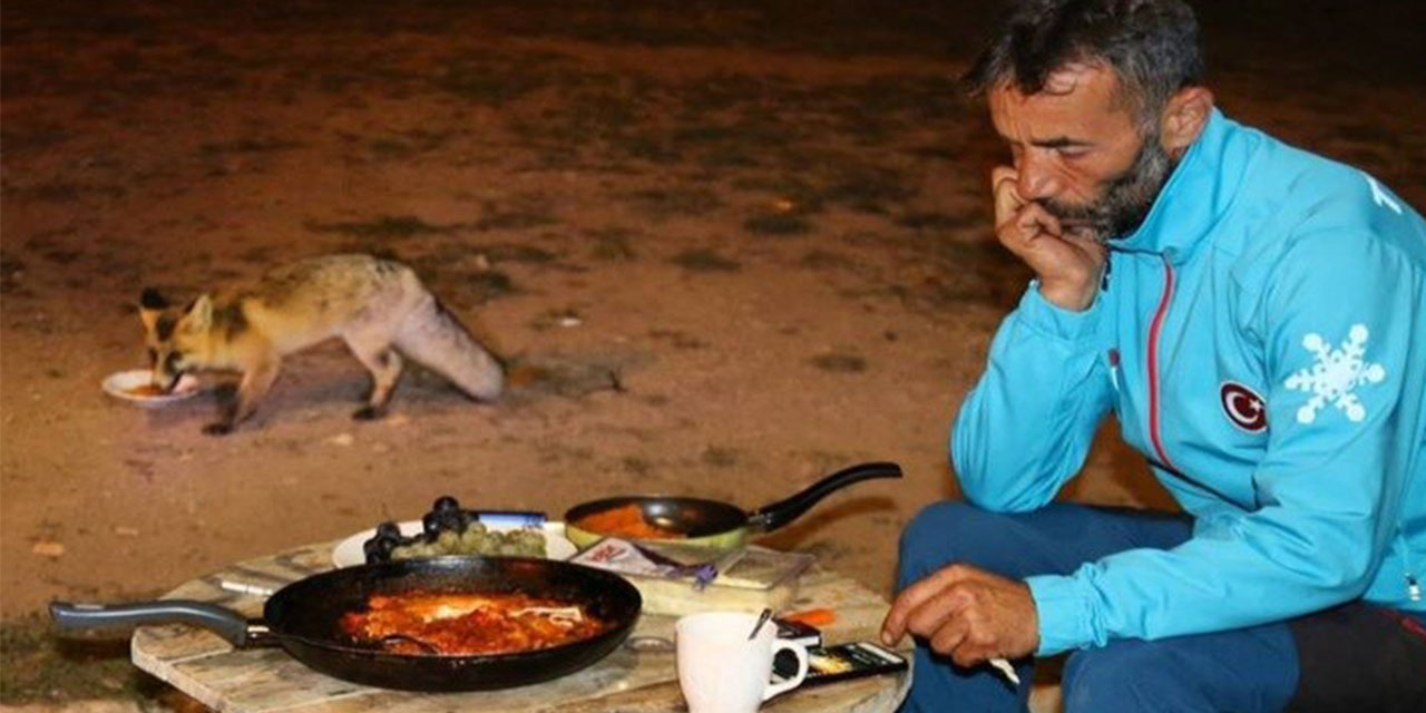 Artvin’de dağ evinde elleriyle beslediği tilkiyi yolda görünce aracını durdurup eve davet etti