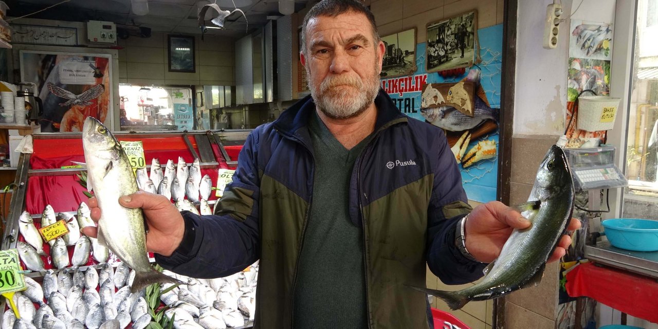 Lüferin Artışı Palamudun Önünü Kesti