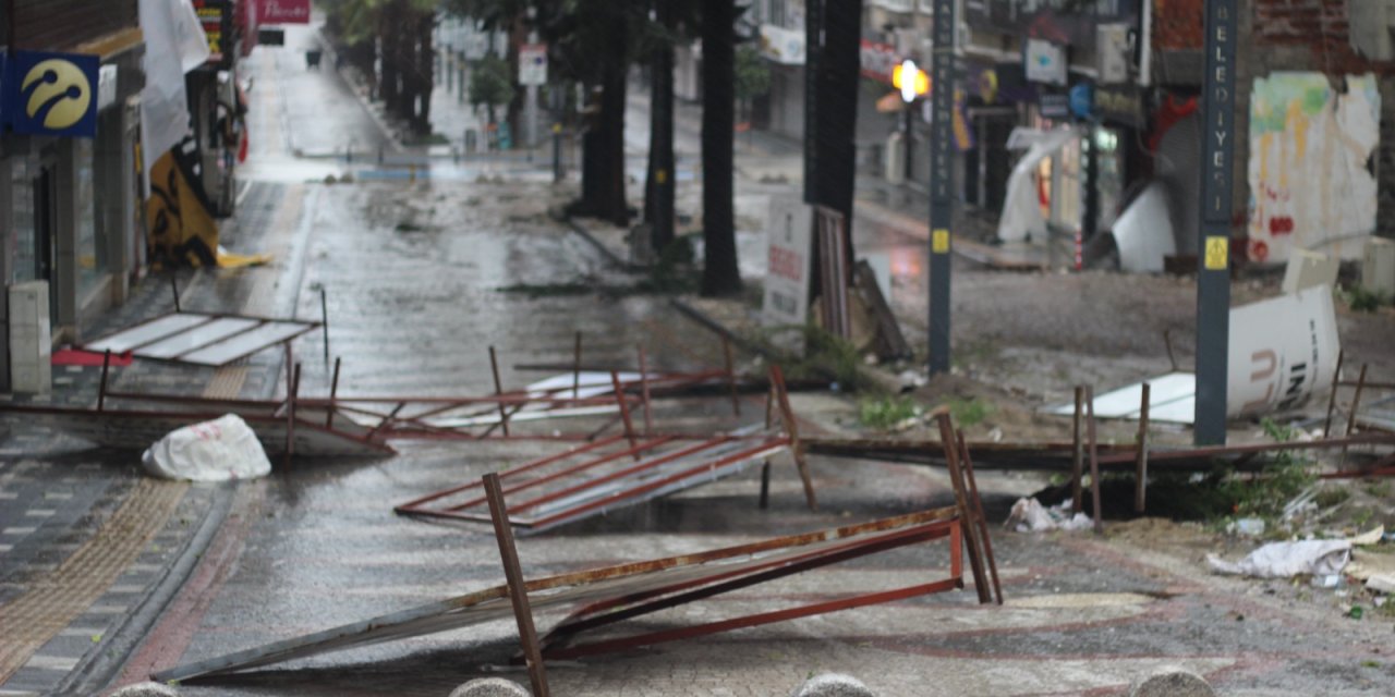 Sakarya'da Fırtına; Ağaçlar Devrildi, Çatılar Uçtu