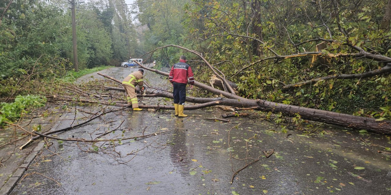 Zonguldak’ta Sağanak Ve Fırtına; Ağaçlar Devrildi, 5 Metre Dalga Oluştu
