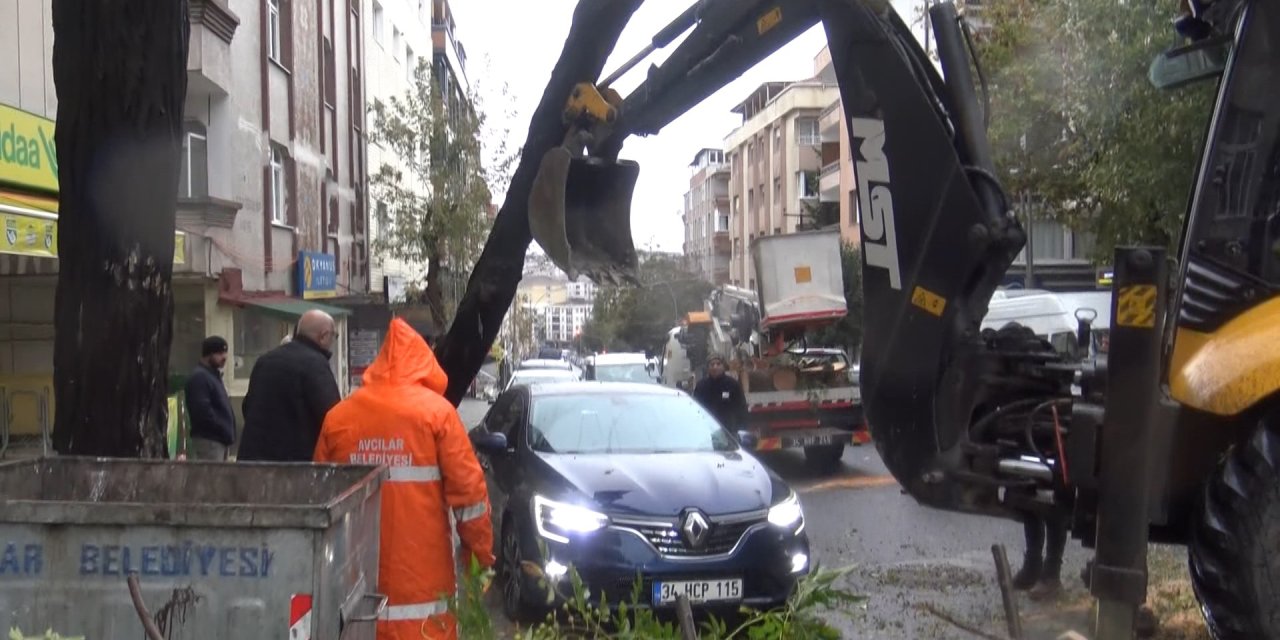 Avcılar'da Ağaç Otomobilin Üzerine Devrildi