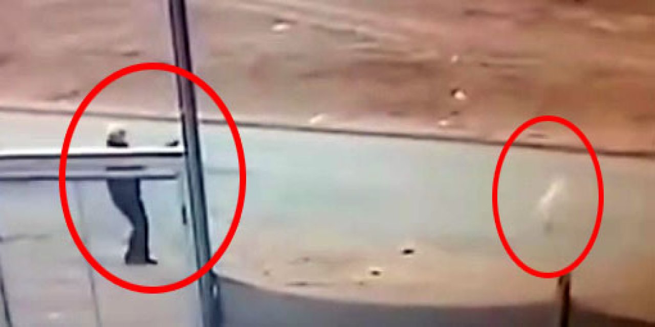 Sokak Köpeğini Tüfekle Öldürdü; Adli Kontrolle Serbest