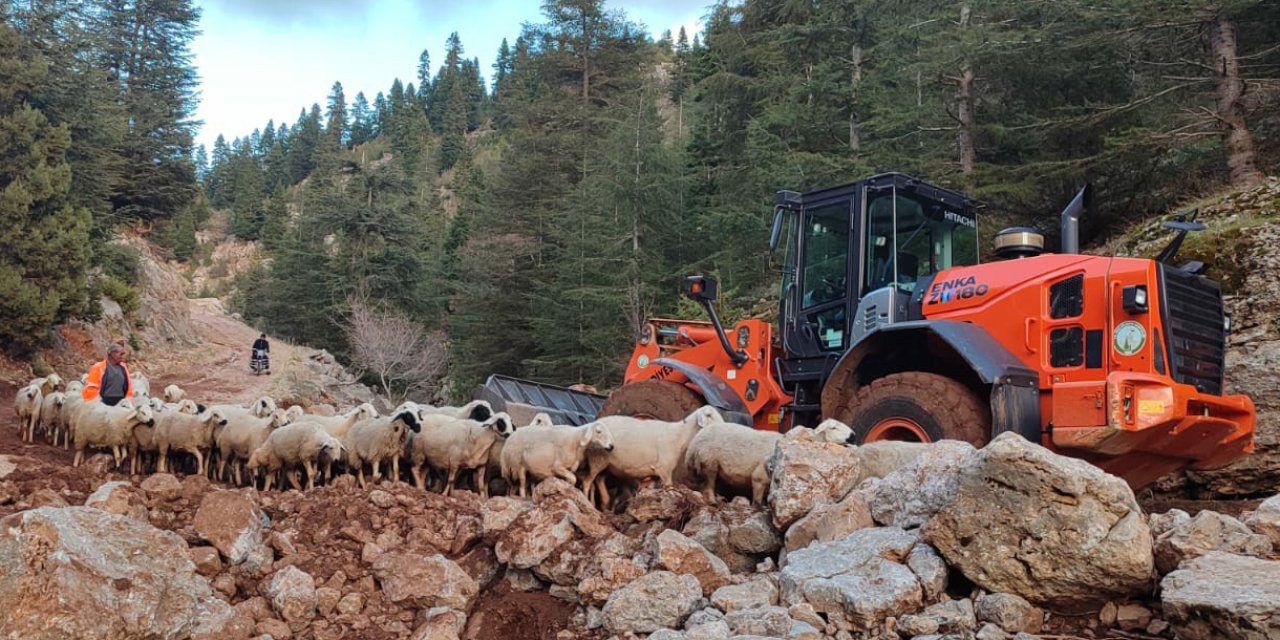 Yaylada Mahsur Kalan 11 Çoban Ve Küçükbaş Sürüsü Kurtarıldı
