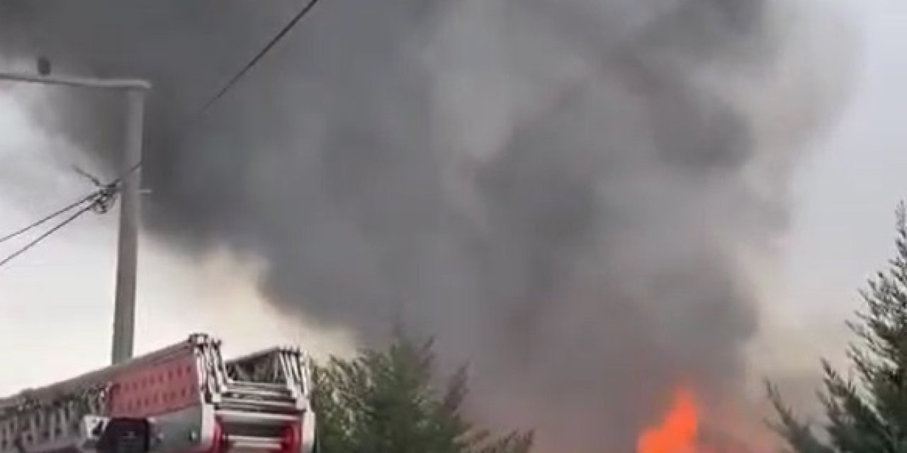 Bursa’da Çiftlik Yangını 1 Saatte Söndürüldü