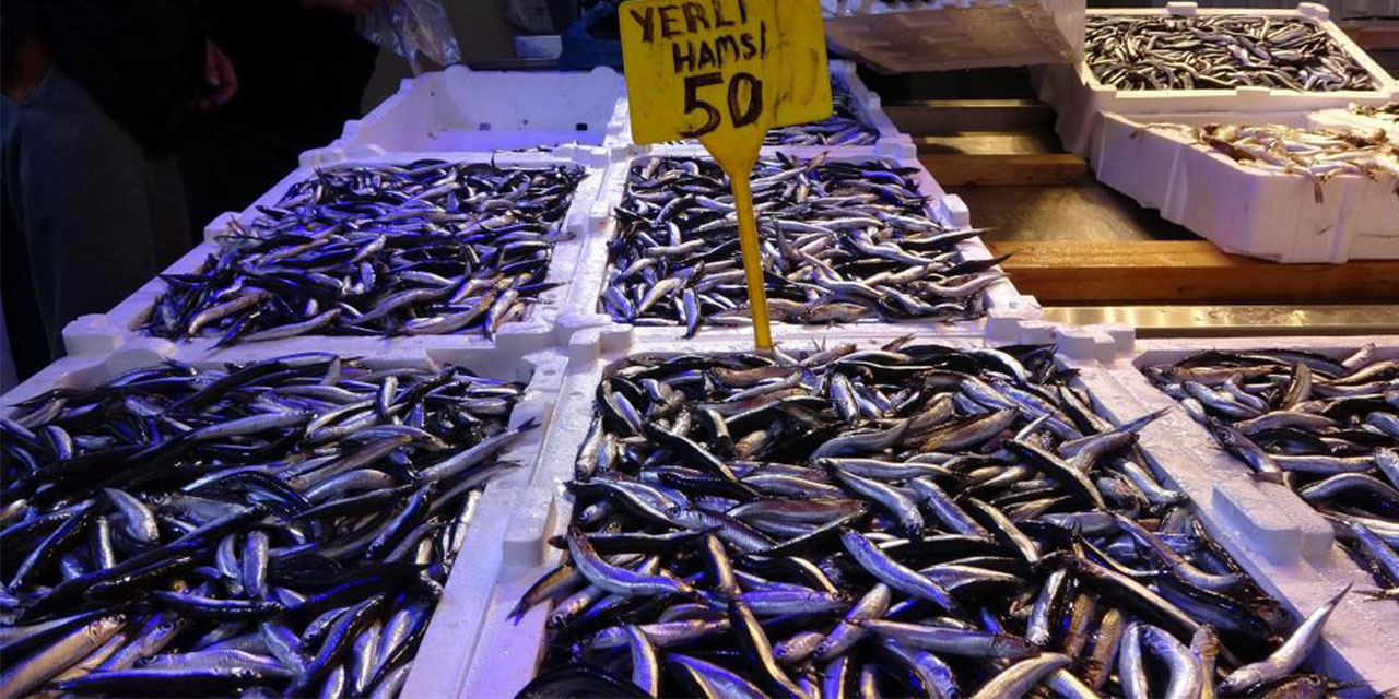 Fırtına hamsi fiyatlarını da uçurdu