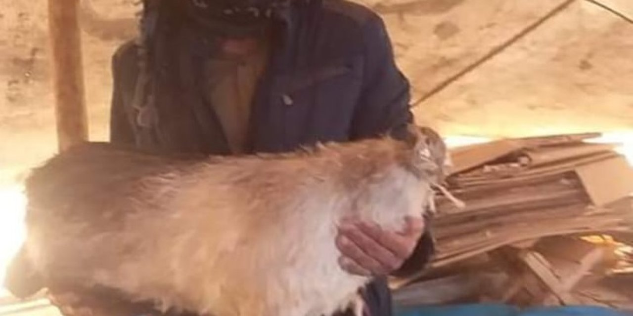 Diyarbakır'da Yıldırımın İsabet Ettiği Çoban Öldü