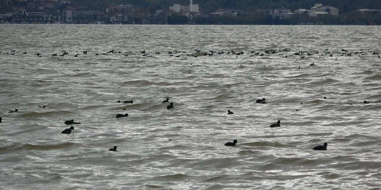 İzmit Körfezi, Çamur Rengini Aldı