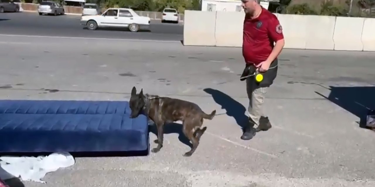 Kamyondaki Çekyata Gizlenmiş 13 Kilo Uyuşturucuyu 'Barbara' Buldu