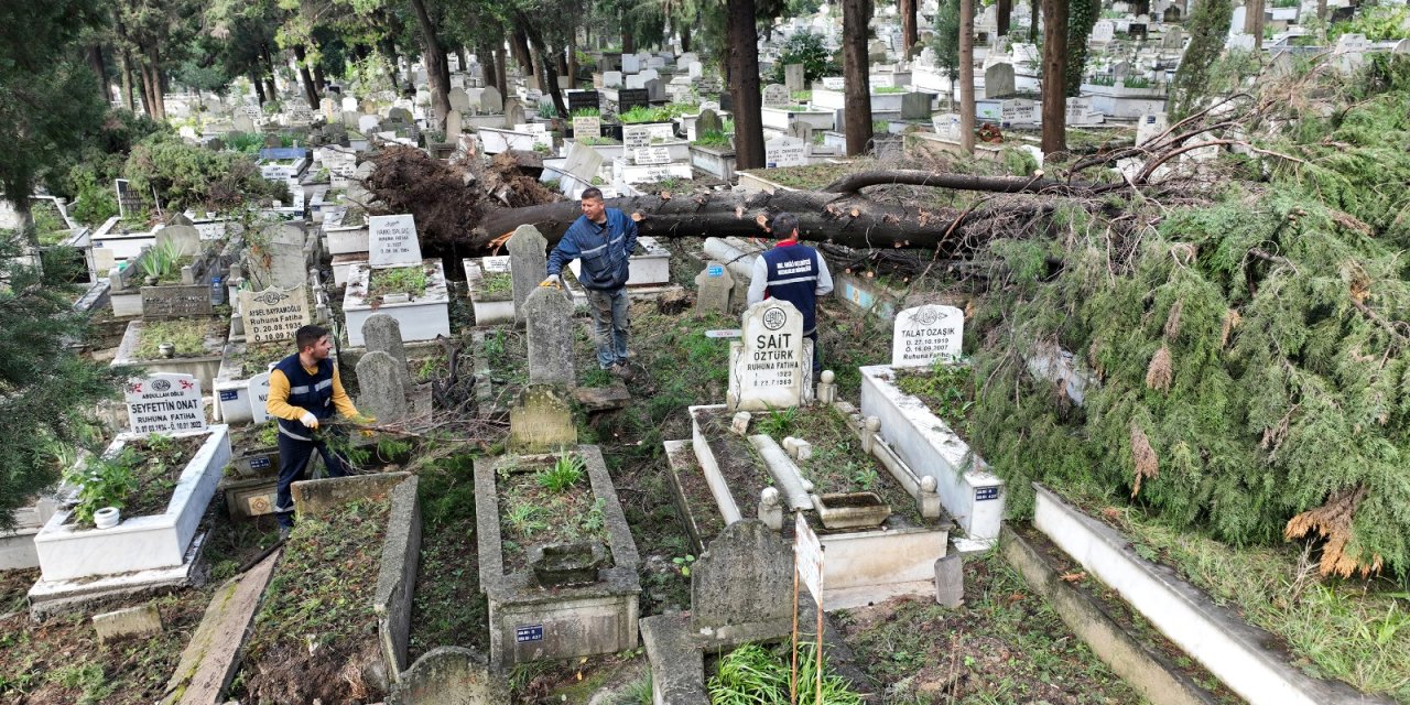 Zonguldak'taki Fırtınada Devrilen Ağaçlar Nedeniyle 300 Mezar Hasar Gördü