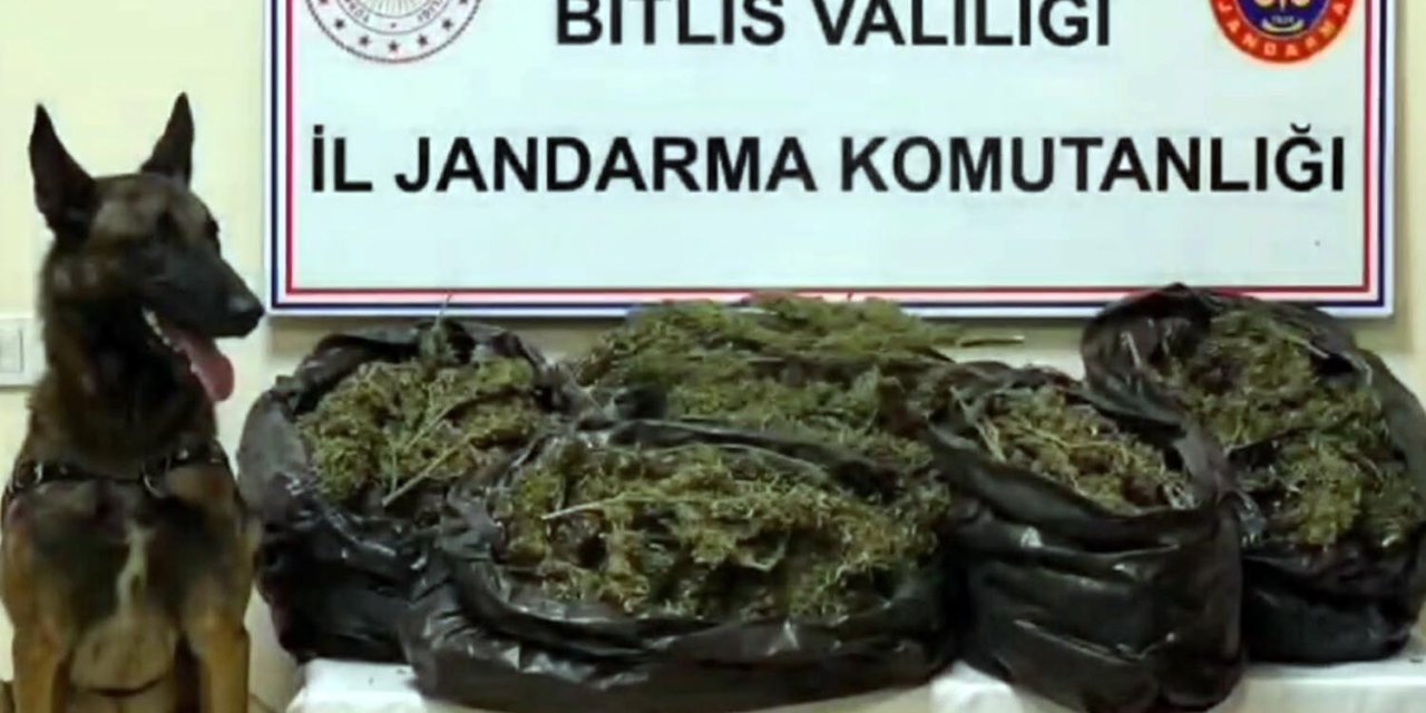 Bitlis’te 10 Kilo 200 Gram Skunk Ele Geçirildi