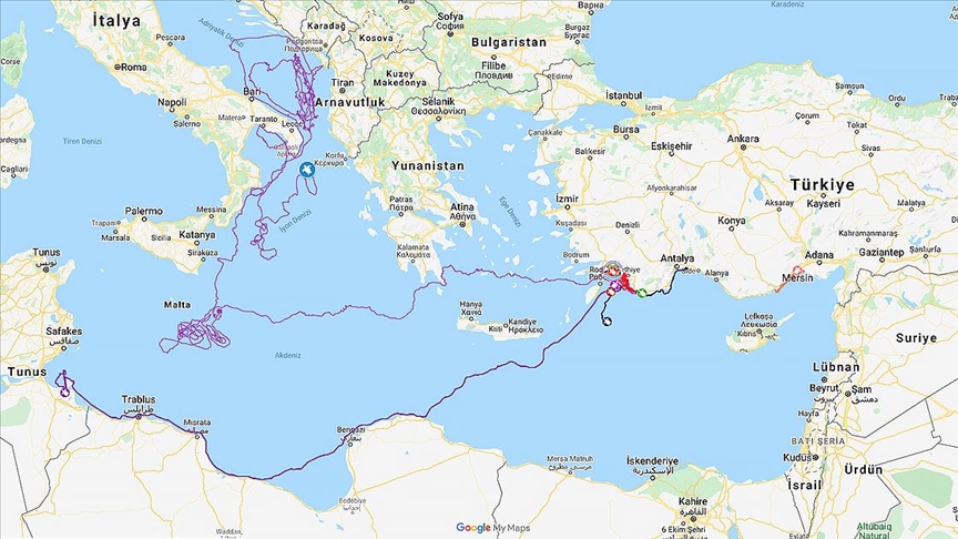 Uydu takibinde izlenen "Caretta Caretta Tuba" 20 bin kilometre yol gitti