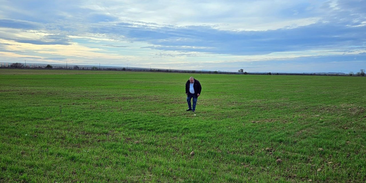 10 Günde 158 Kilo Yağış Alan Trakya'da Tarlalar Yeşerdi