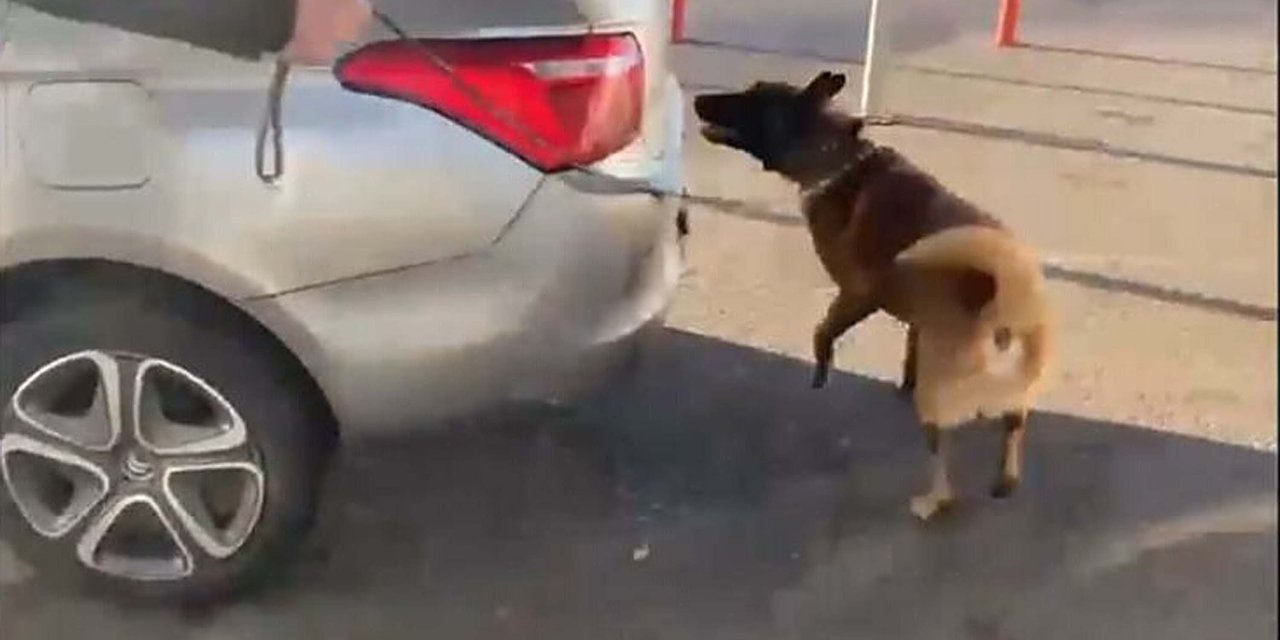 Otomobilde Uyuşturucu Ele Geçirildi; 1 Tutuklama