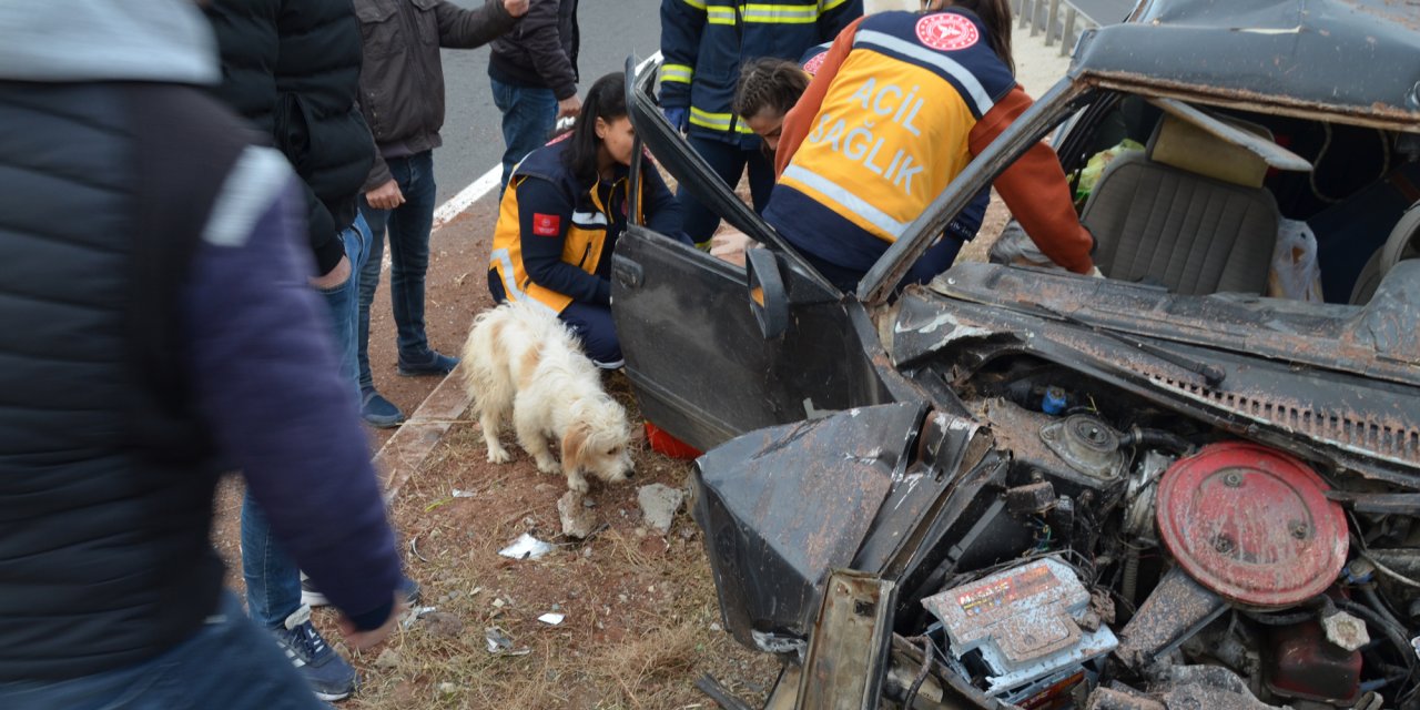 Takla Atan Otomobildeki Köpek, Sahiplerinin Yanından Ayrılmadı