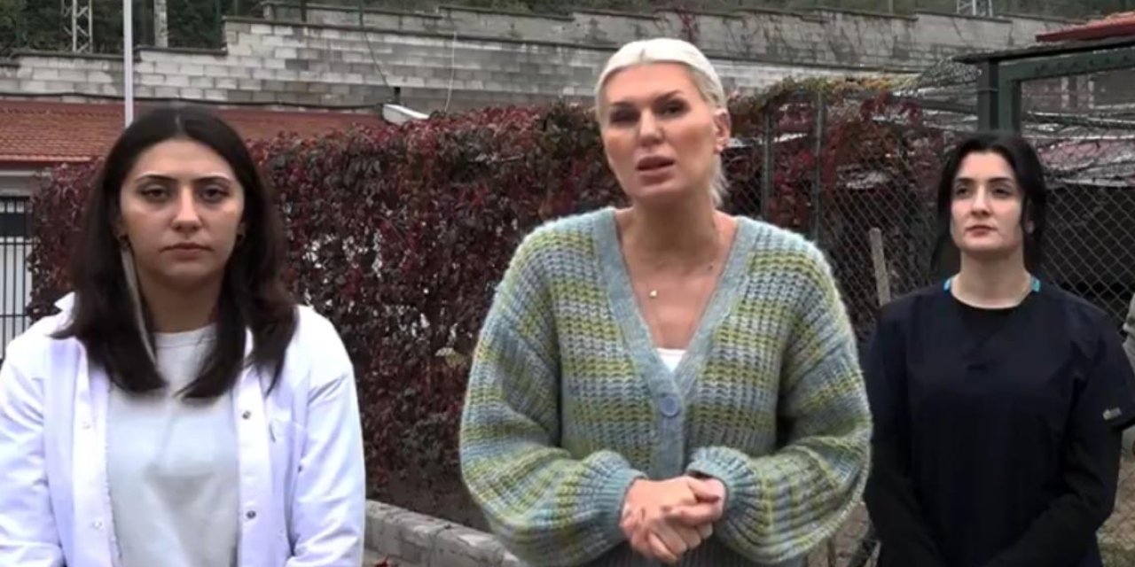 Bilecik'te 14 Köpek Ölü Bulundu; Savcılık Soruşturma Başlattı (2)