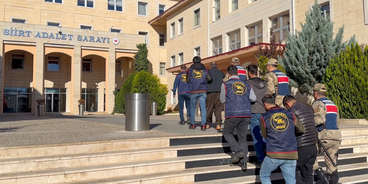 Siirt’te Koyun Hırsızlığına 2 Tutuklama