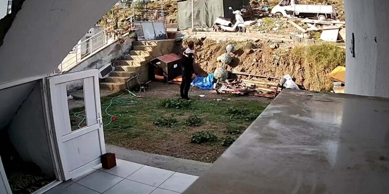 Kamyonetini Durdurup Kendisini Takip Eden Köpeğe Cisimle Vurup Kaçtı