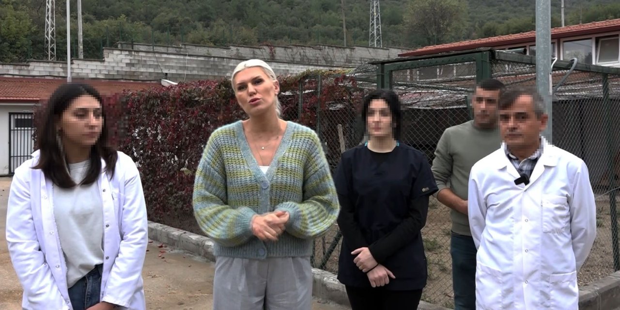 Bilecik'te 14 Köpeğin Ölü Bulunmasına 4 Gözaltı (3)