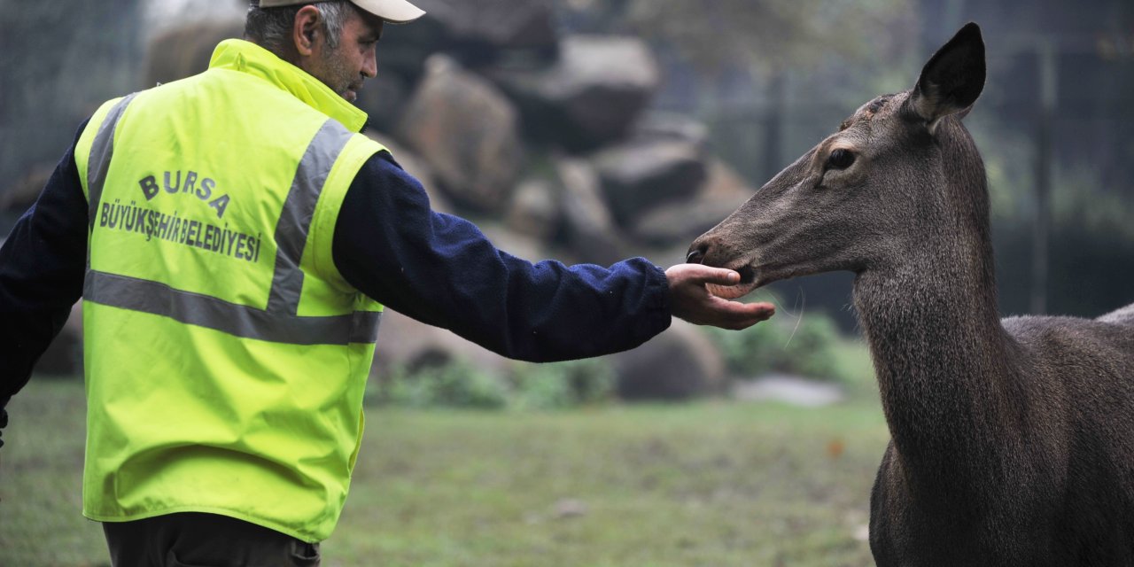 Bursa Hayvanat Bahçesi'nde Kış Uygulaması