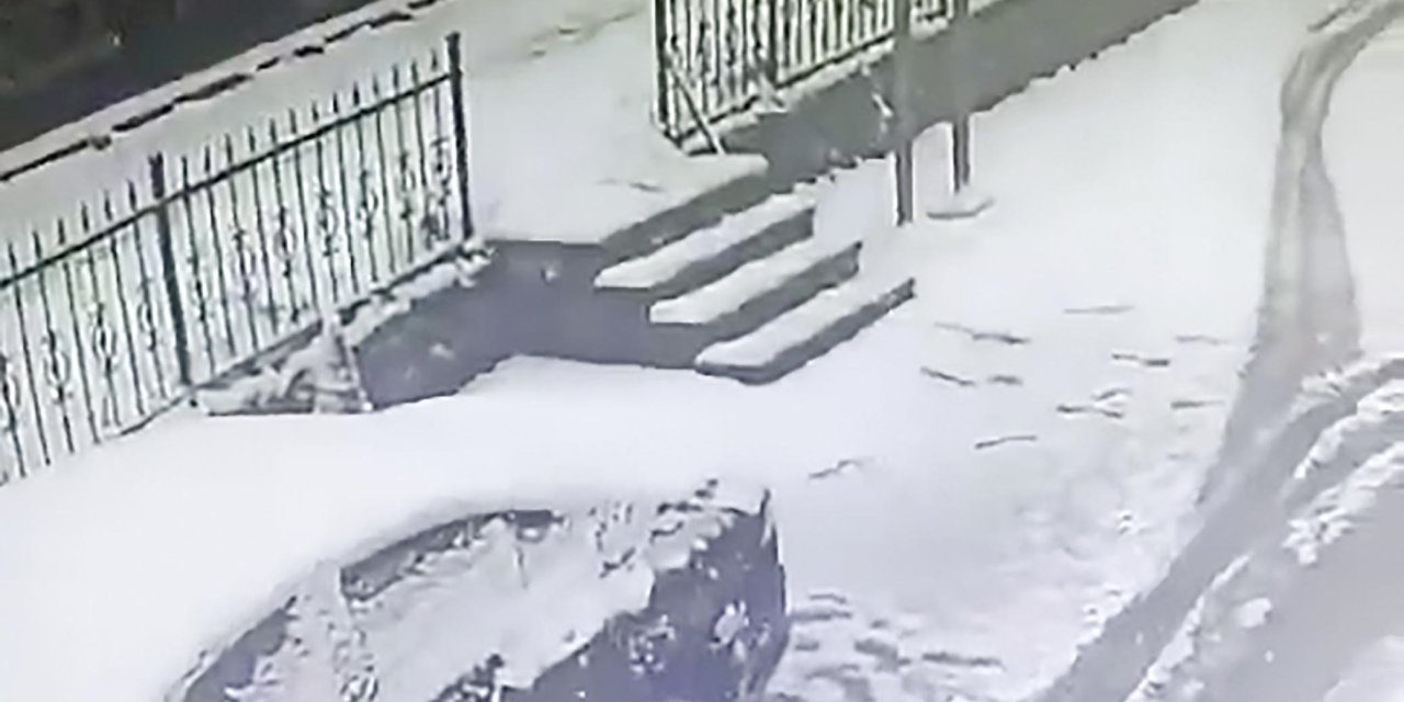 Sokak Hayvanlarına Yiyecek Götürürken Kalp Krizi Geçirdi