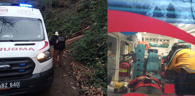Rize’de kestiği ağacın altında kalan kişi yaralandı