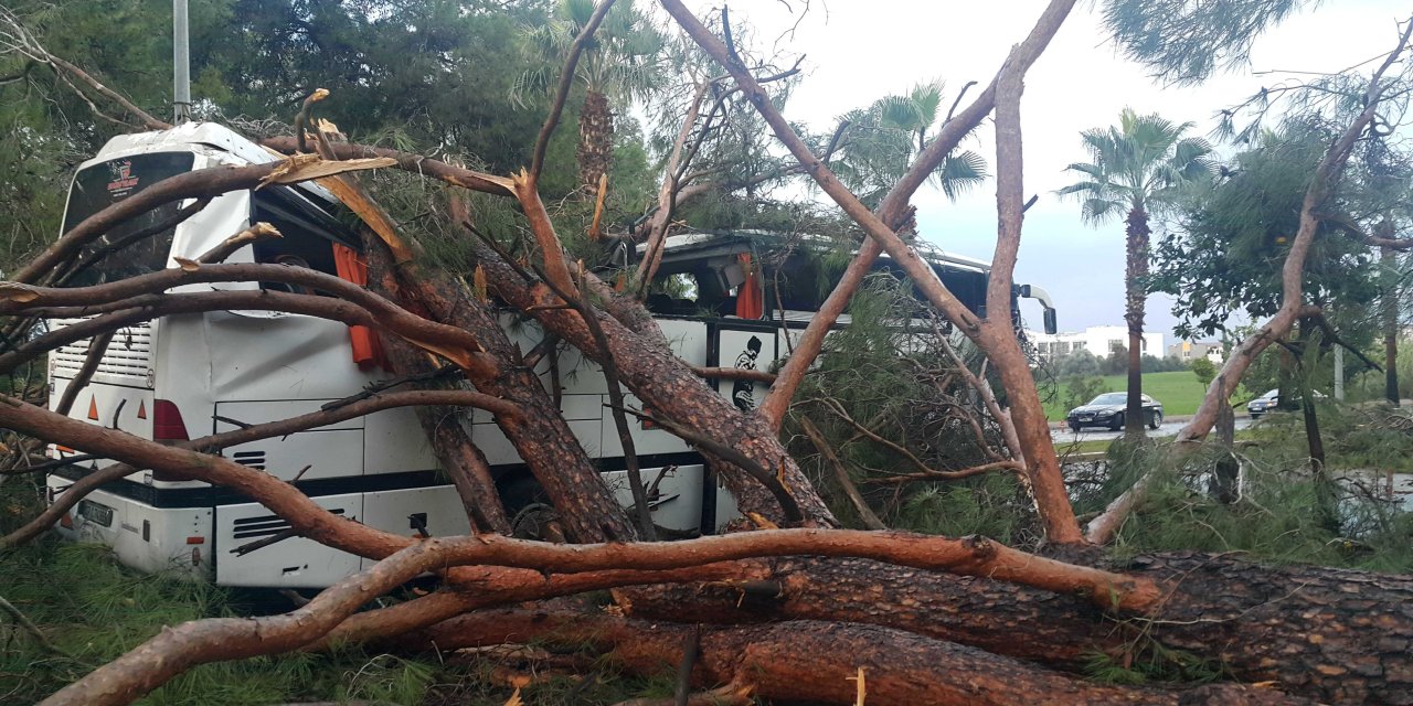 Otel Servisinin Üzerine Ağaç Devrildi: 7 Yaralı