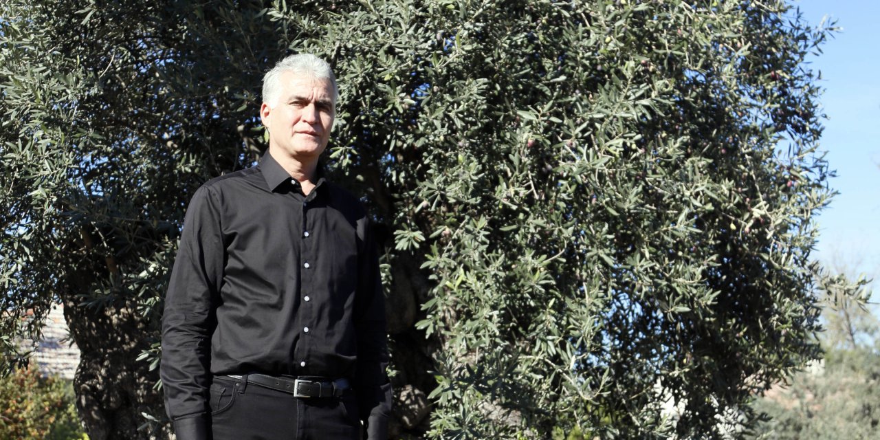 Kuraklıktan 1200 Yaşındaki Anıt Ağaç Da Etkilendi, Verimi Yarı Yarıya Azaldı