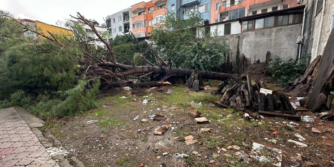 Muğla'da Hortum Çatıları Uçurdu, Ağaç Ve Direkleri Devirdi; O Anlar Kamerada
