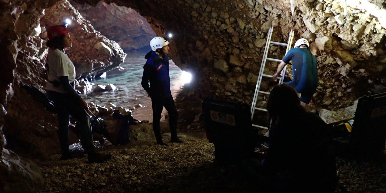 Akdeniz Fokunun Azalmasındaki En Büyük Etken; İnsan Faktörü