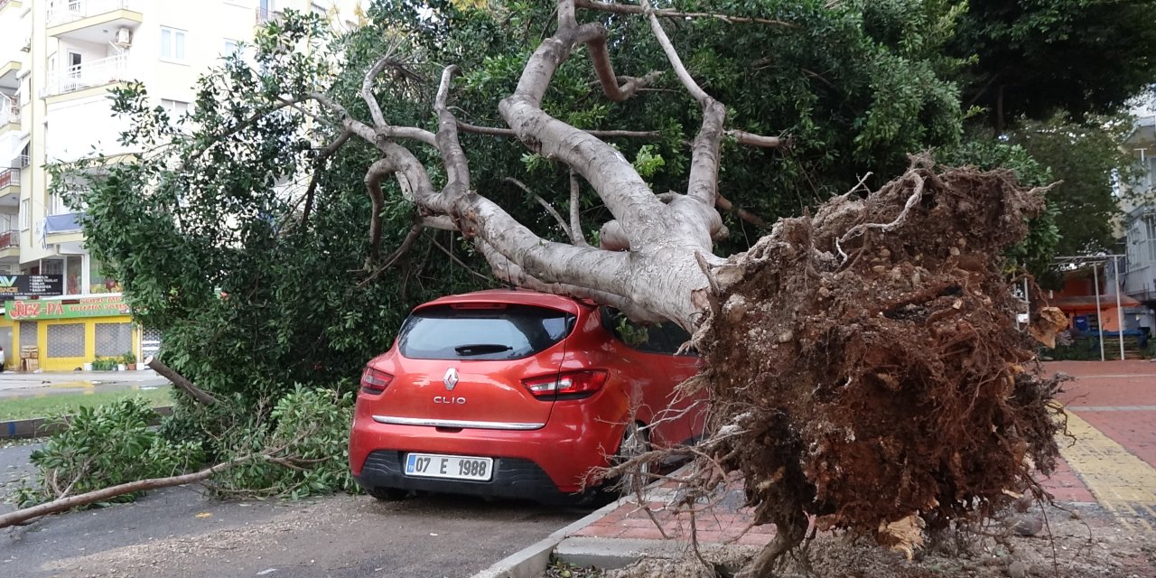 Antalya'da Şiddetli Yağış Ve Fırtına; Tekneler Battı, Ağaçlar Devrildi