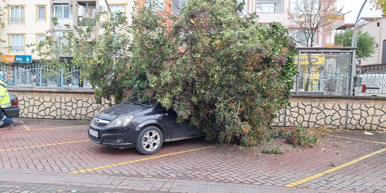 4 Katlı Binanın Çatısı, Yan Binanın Üzerine Uçtu (2)