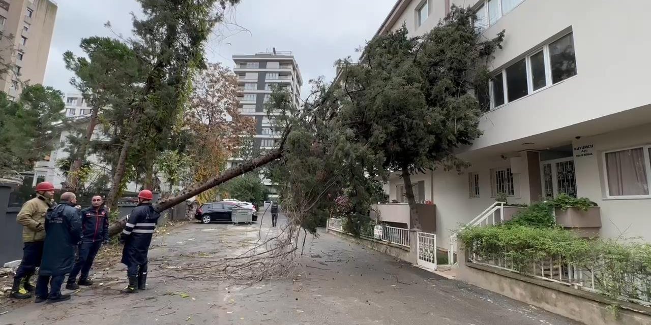 Kadıköy'de Ağaç Binanın Üzerine Devrildi