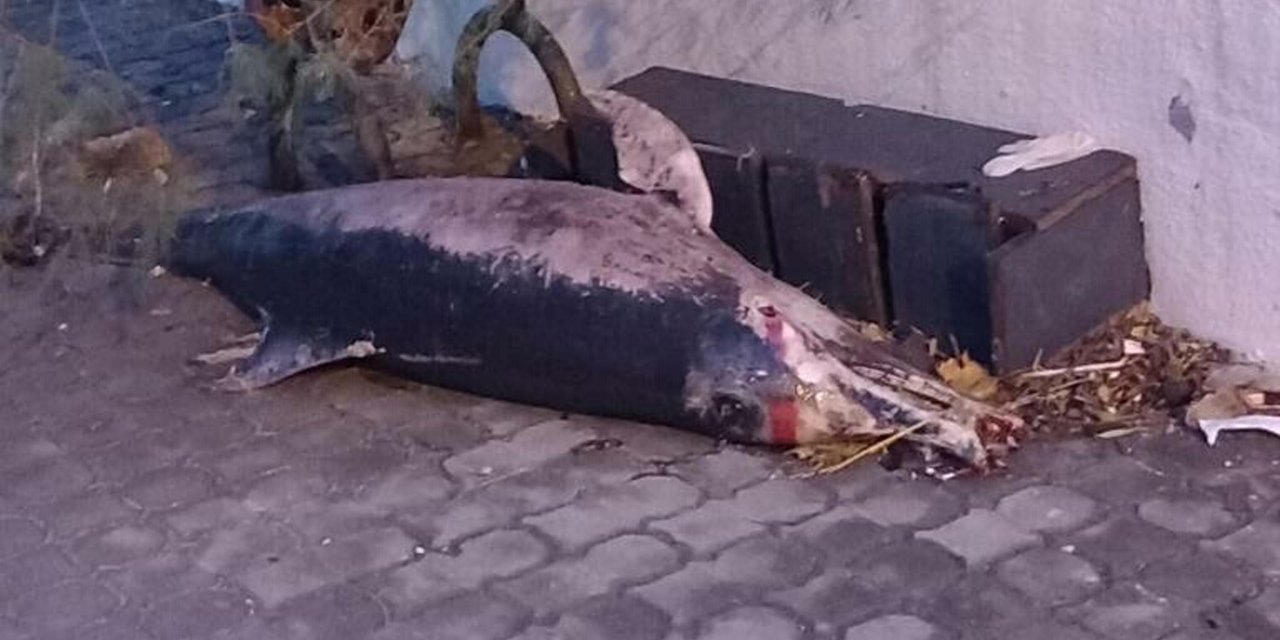 Çanakkale’de Fırtına; 3 Balıkçı Teknesi Battı (2)