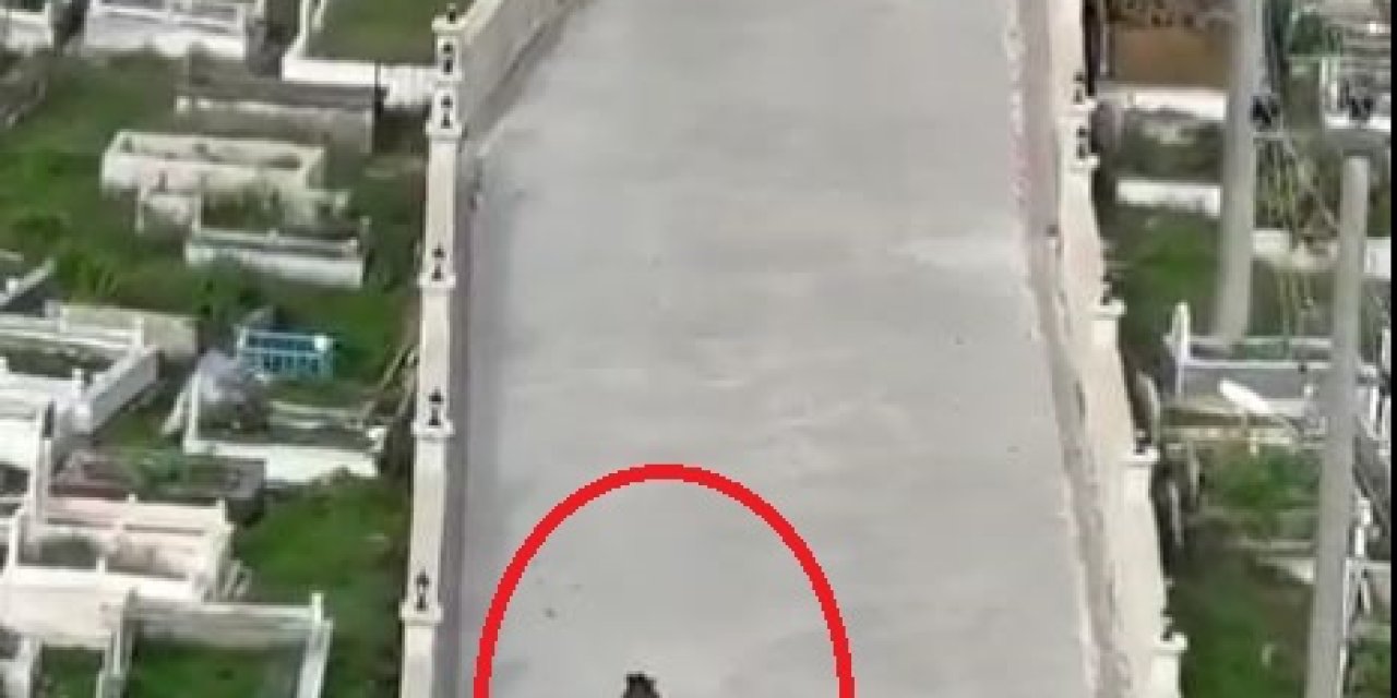 Domuz Saldırısından Kurtulma Anı Kamerada