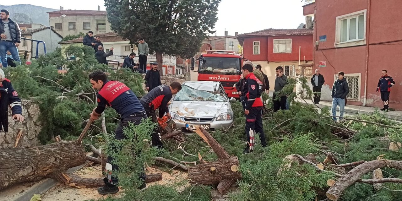 Amasya'da Kuvvetli Rüzgar; Ağaç, Otomobilin Üzerine Devrildi