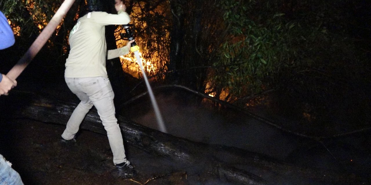 Sürmene'de Orman Yangını; 17 Ev Boşaltıldı