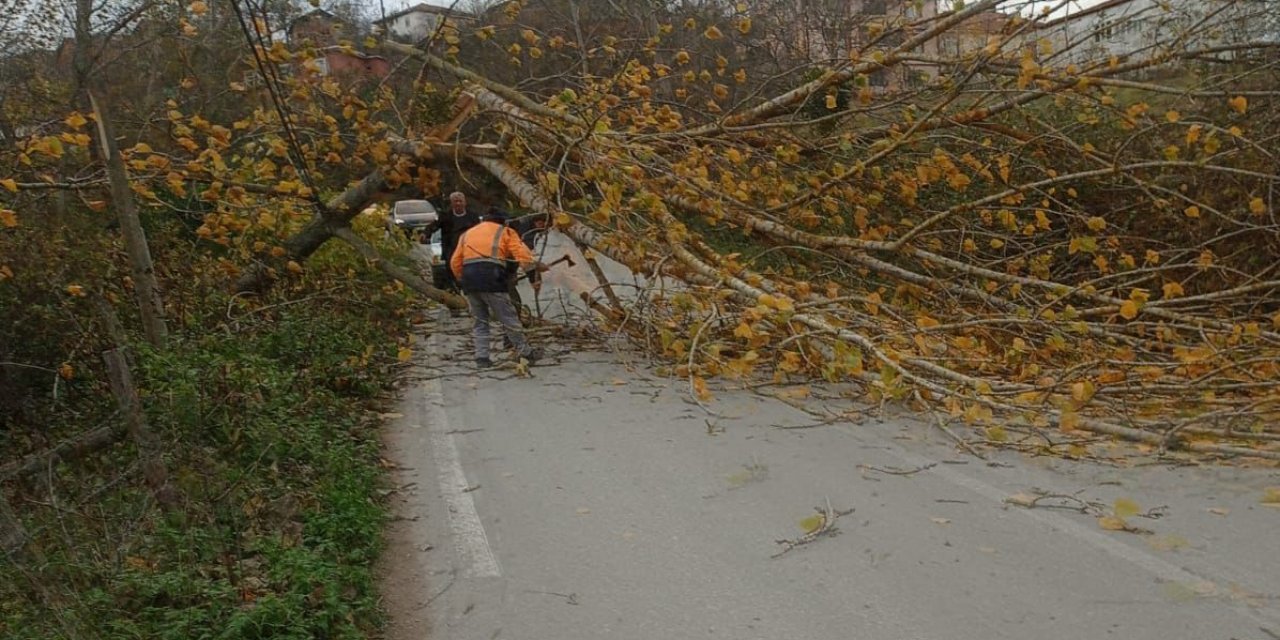 Samsun'da Fırtına Nedeniyle Elektrik Direkleri Devrildi