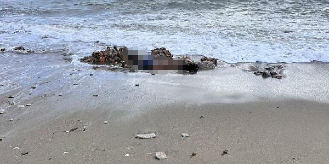 Bodrum’da Biri Sahilde Diğeri Denizde 2 Erkek Cesedi Bulundu