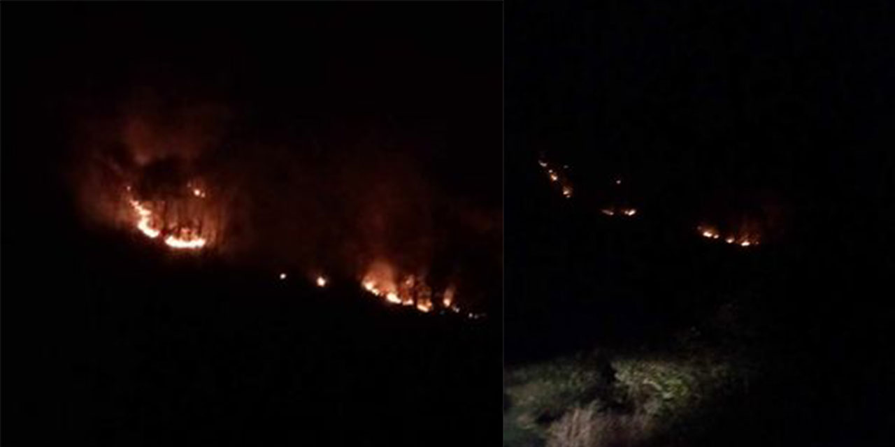 Rize'de Şiddetli Rüzgar Yangına Neden Oldu